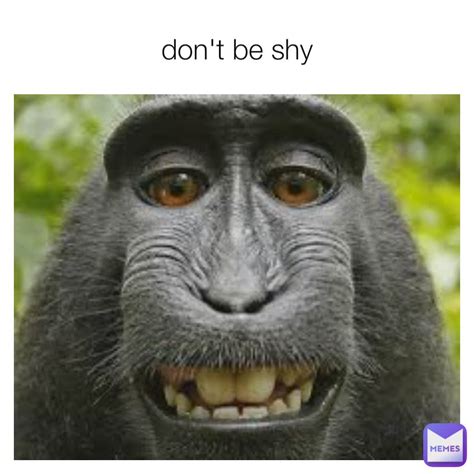 don't be shy meme.